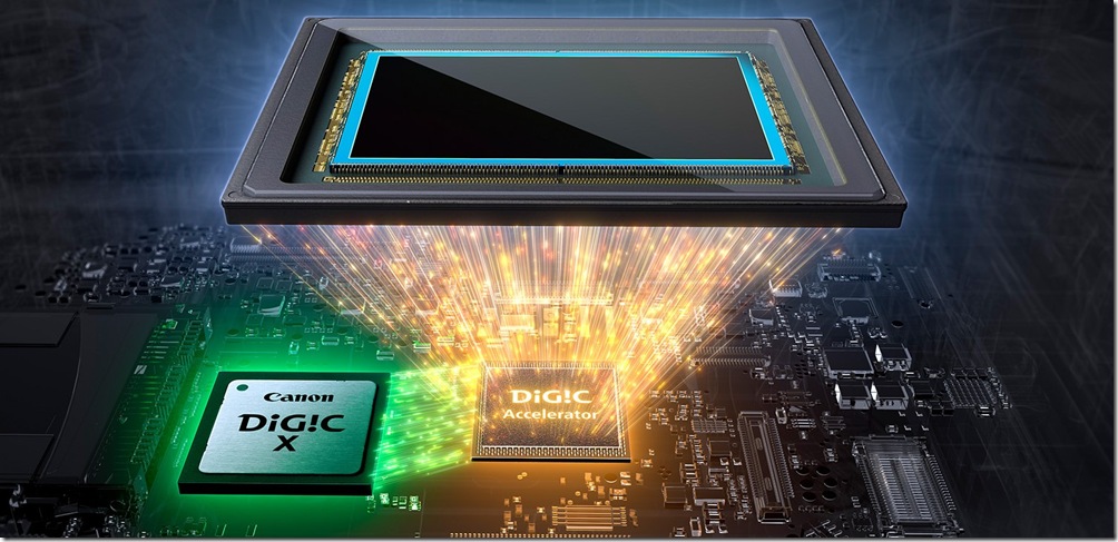 7.EOS R1 配備了最強大的影像處理系統 —「Accelerated Capture 加速捕捉系統」。