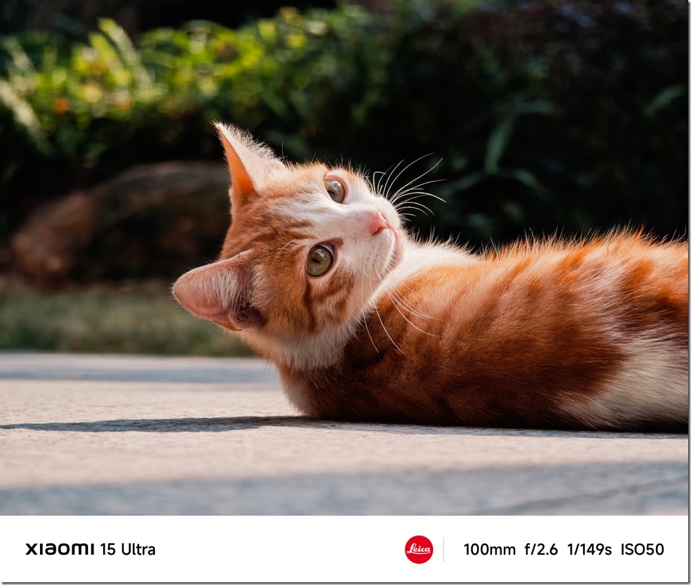 001VUOSZly1hyzfbpvr1dj61kw1c41kz02