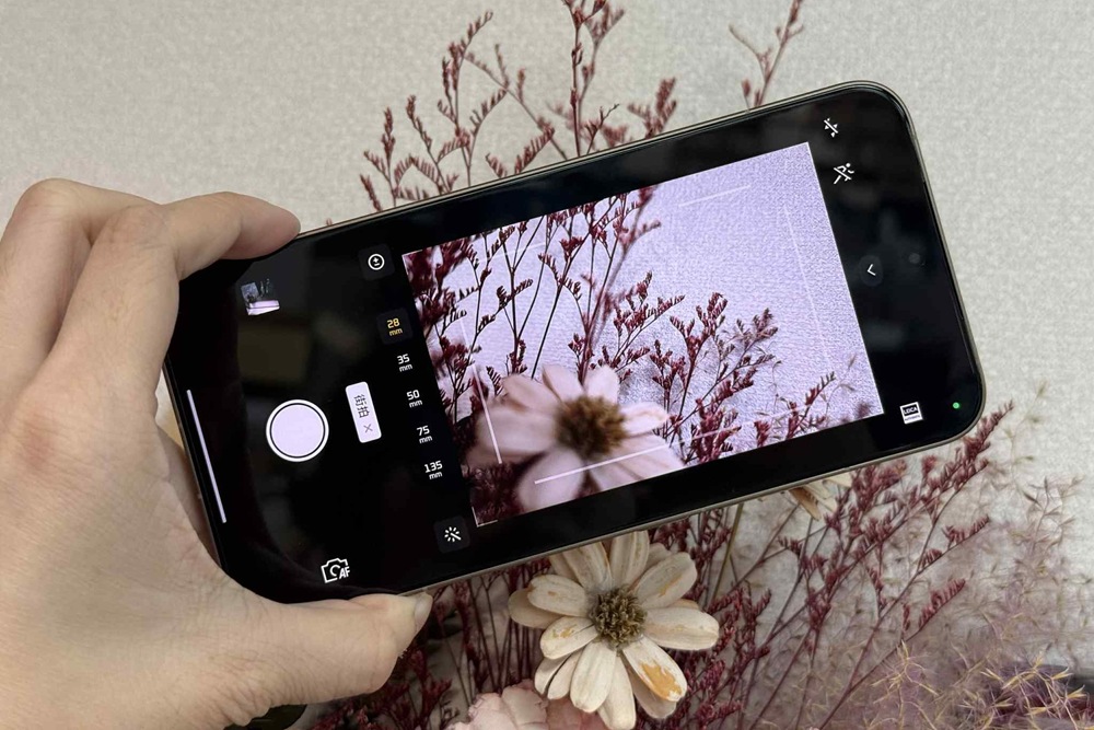 67d1afa9-4484-4d23-b382-5432bbc57f18