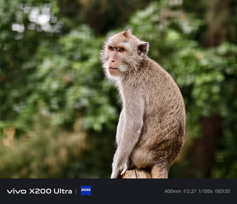 IMG_20250523_162946 IMG_20250523_162946