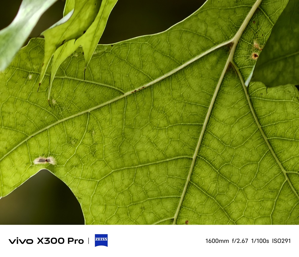 IMG_20251015_074418 IMG_20251015_074418