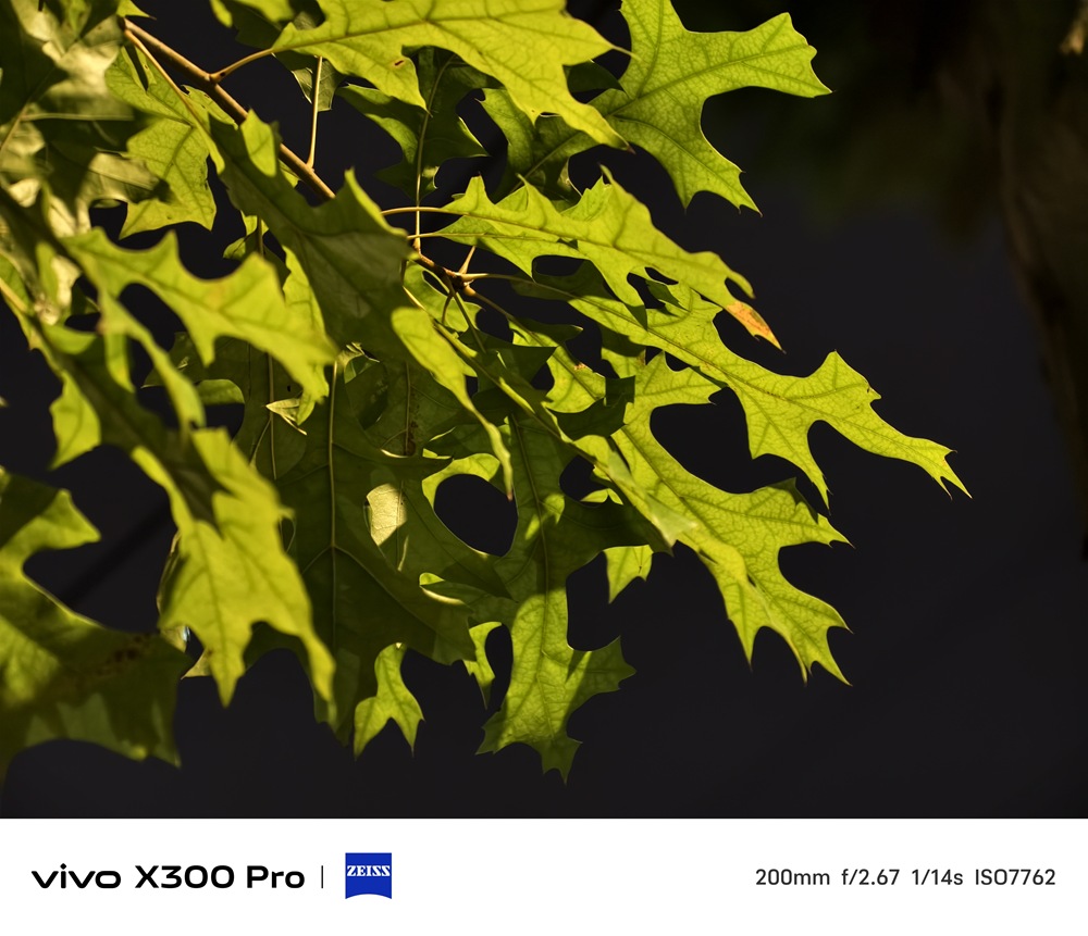 IMG_20251014_233500 IMG_20251014_233500