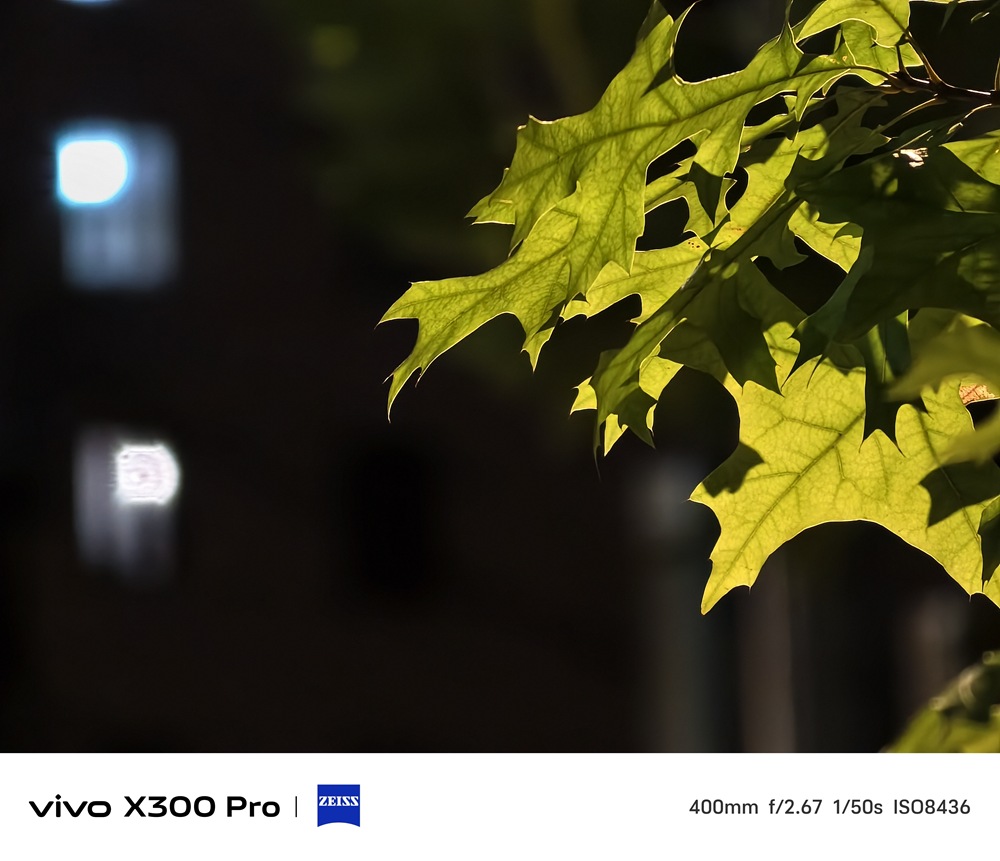 IMG_20251014_233829 IMG_20251014_233829