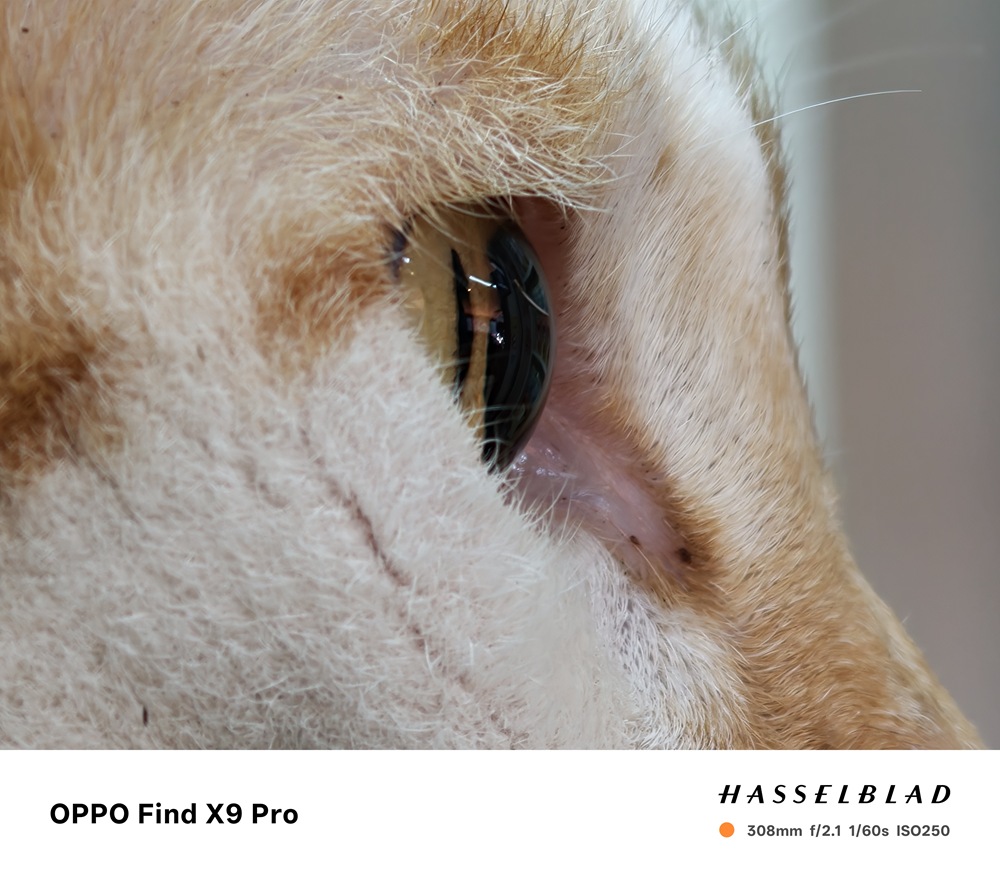 IMG20251107110541 IMG20251107110541