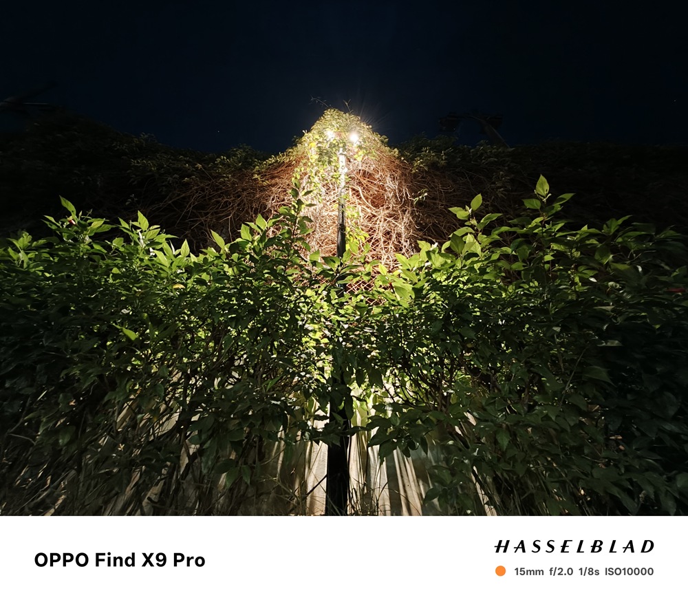 IMG20251106205950 IMG20251106205950