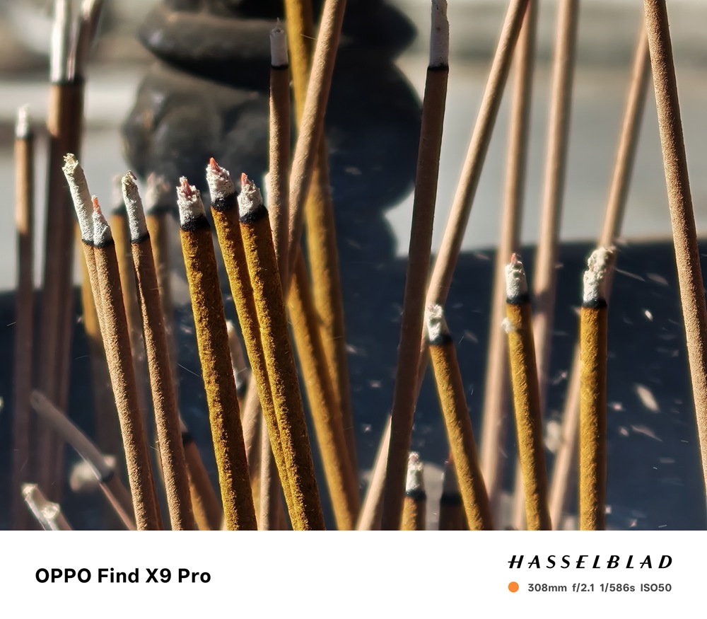 IMG20251107094526 IMG20251107094526