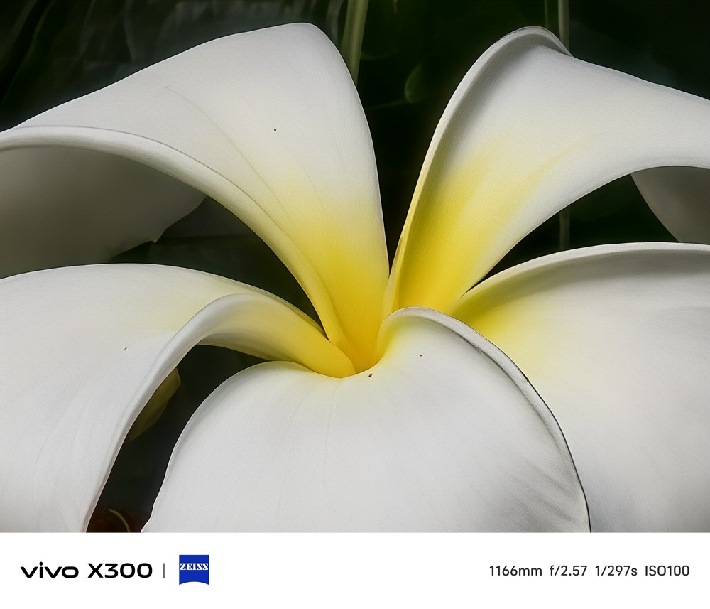 11 300 50X 11 300 50X