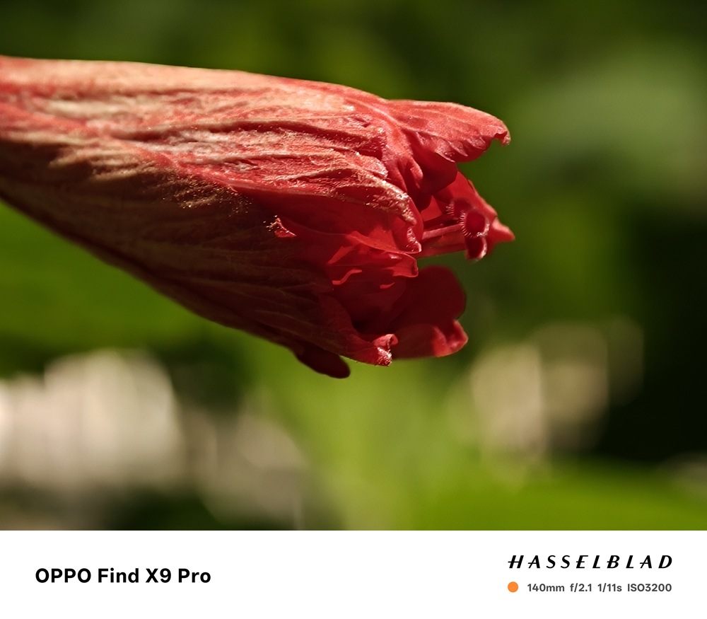 IMG20251106210119 IMG20251106210119