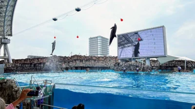 【名古屋景點亮點】名古屋港水族館