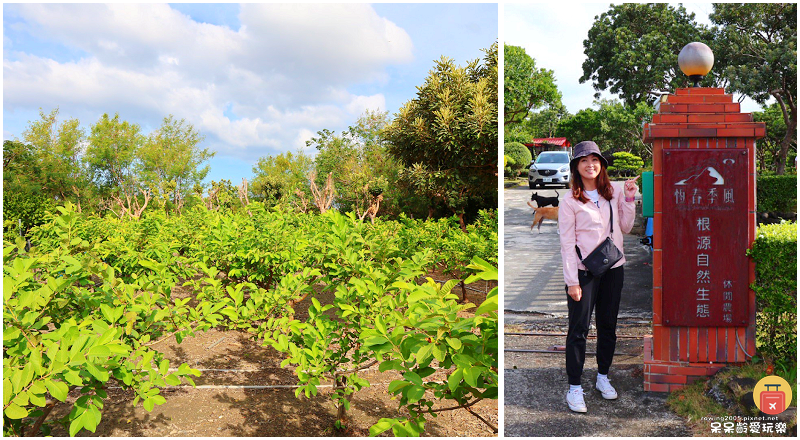 農場可以這樣玩！根源自然生態農場
