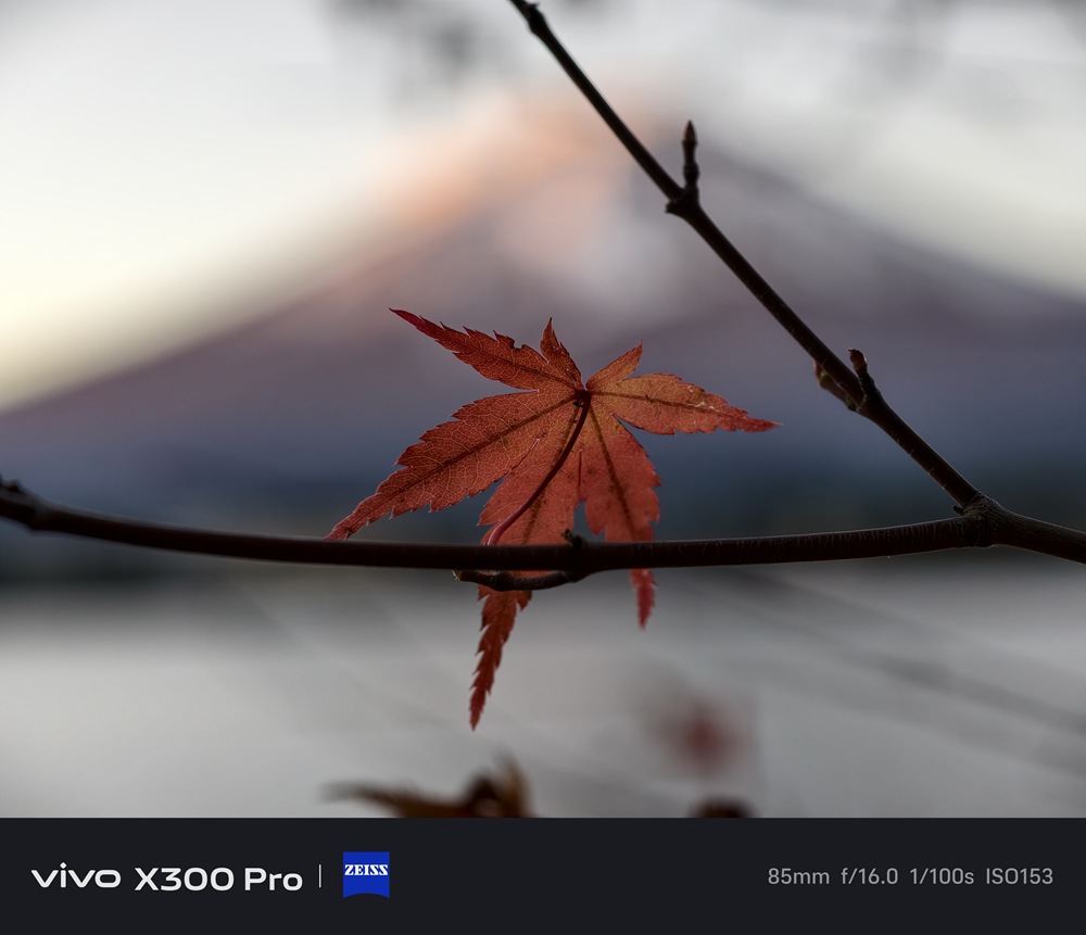 IMG_20251204_064240 IMG_20251204_064240