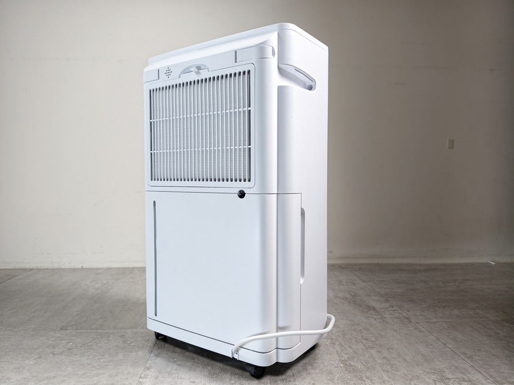 IMG_20260128_141000 IMG_20260128_141000