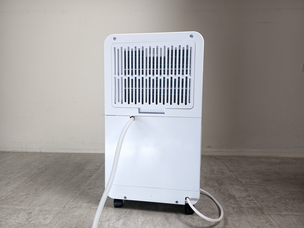 IMG_20260128_133832 IMG_20260128_133832