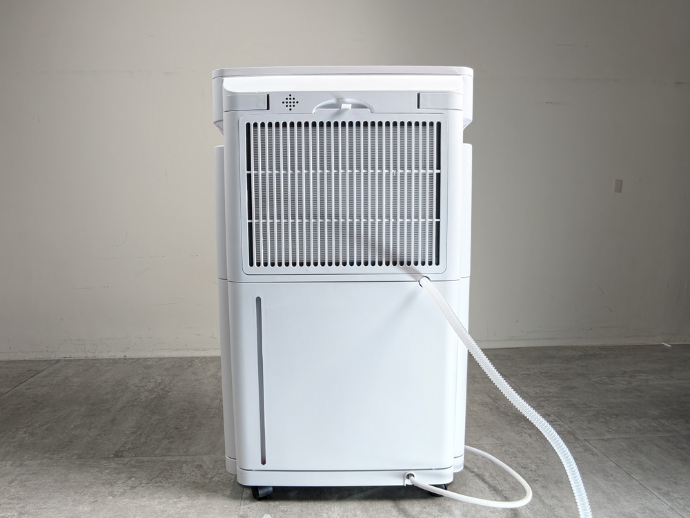 IMG_20260128_141517 IMG_20260128_141517