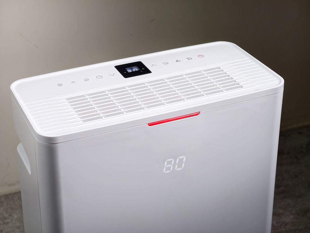 IMG_20260128_142344 IMG_20260128_142344