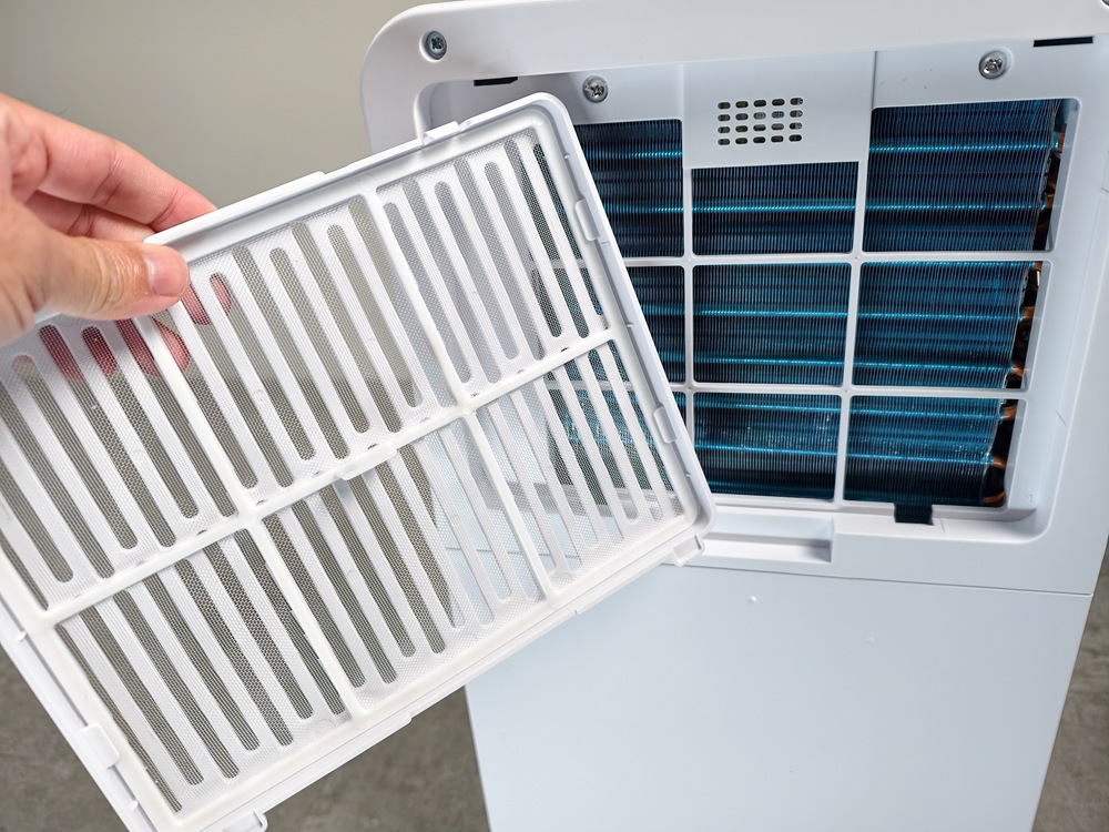 IMG_20260128_133410 IMG_20260128_133410