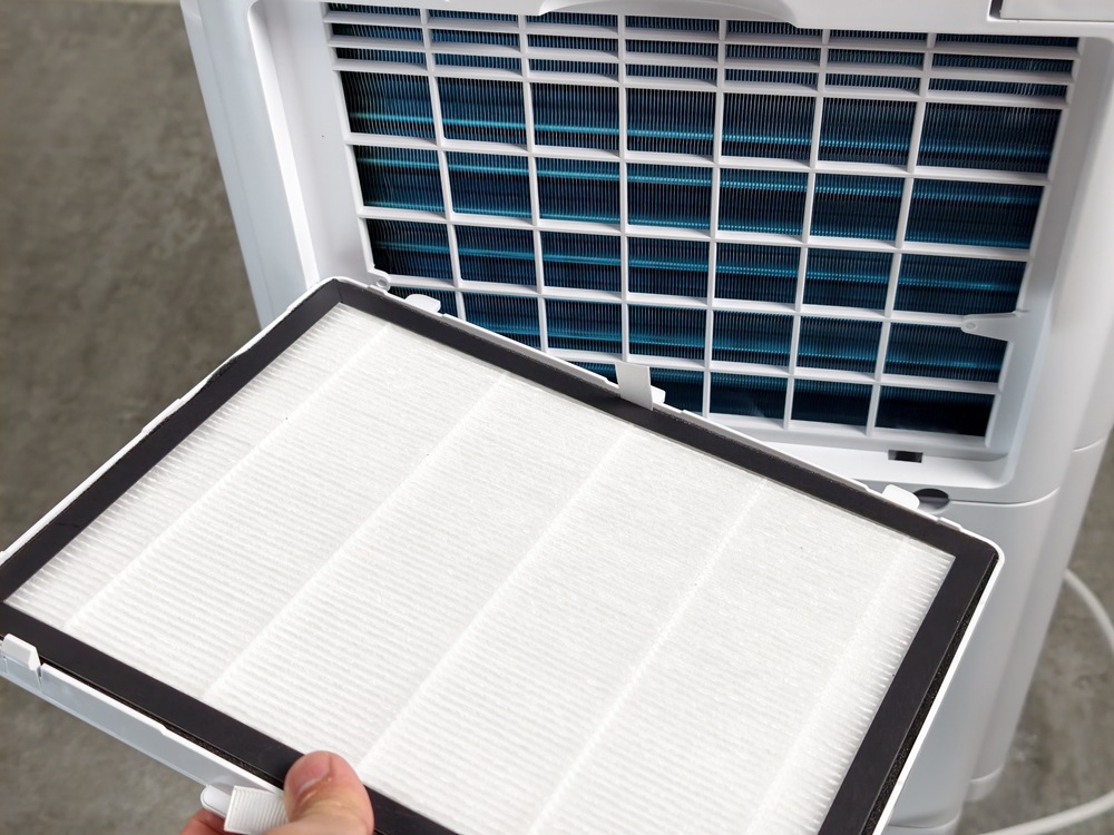 IMG_20260128_141103 IMG_20260128_141103