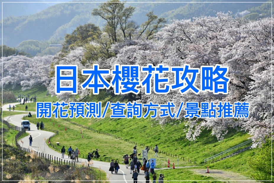 2026日本賞櫻攻略