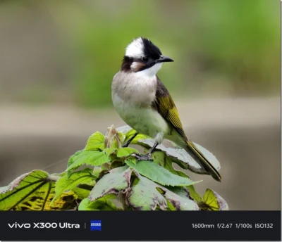 vivo X300 Ultra 增距鏡實測：G2 與 G2 Ultra 長焦表現與穩定度解析