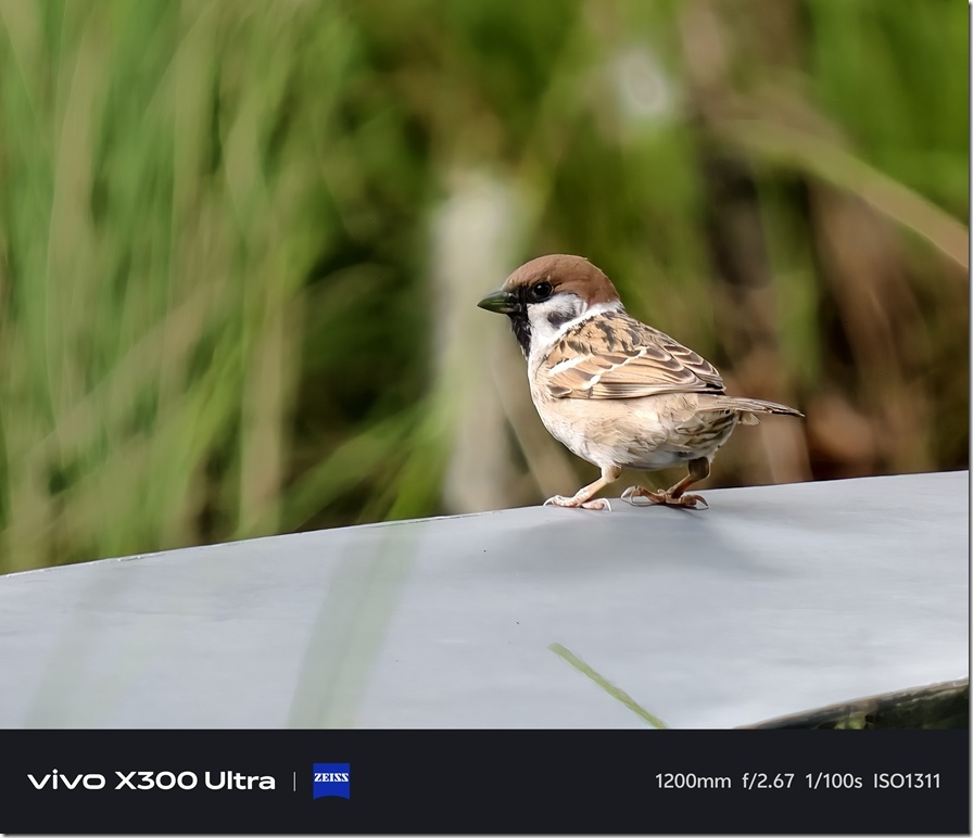 IMG_20260417_160308 IMG_20260417_160308