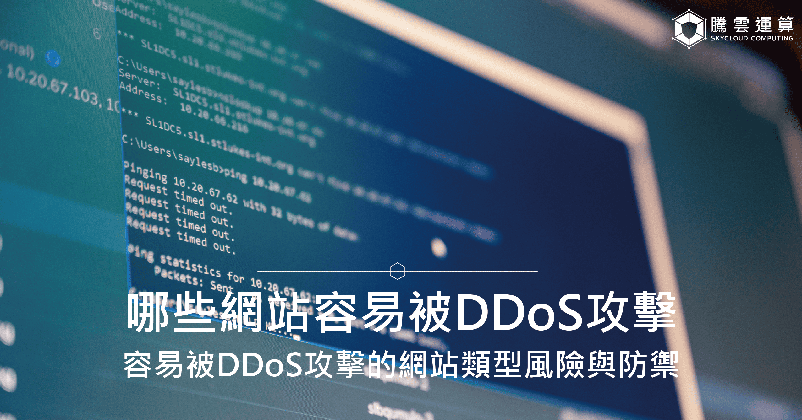 哪些網站或系統容易被DDoS攻擊？