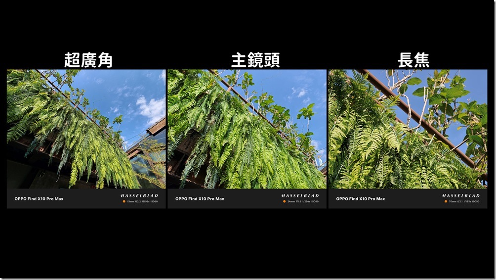 Snapshot_20261022175655 Snapshot_20261022175655