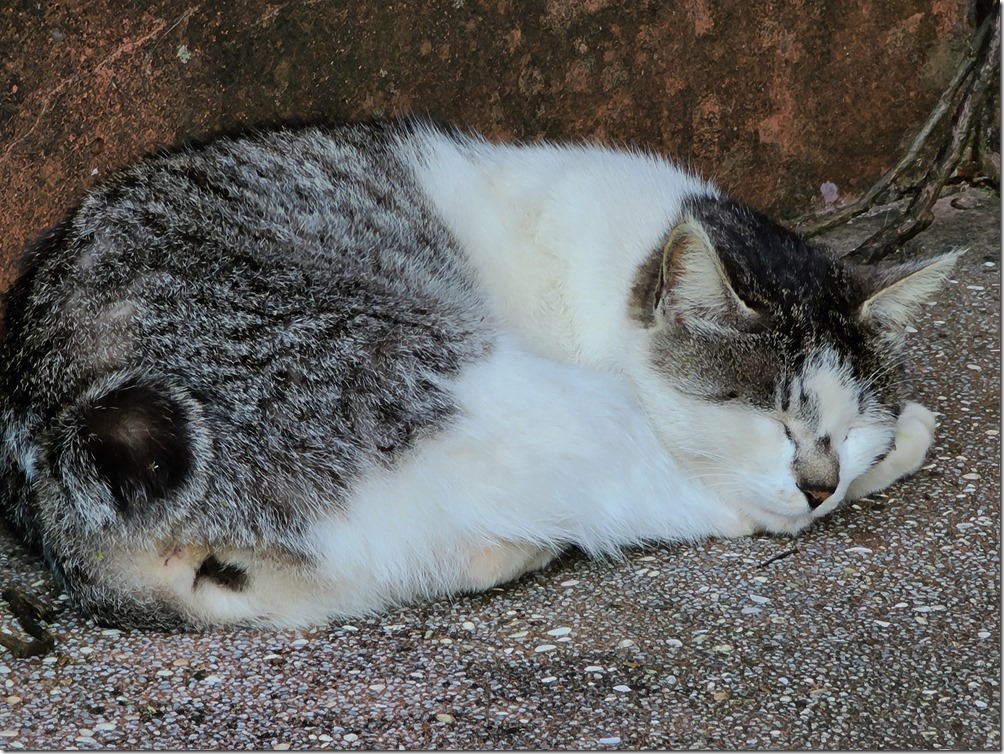 20200316_162311 20200316_162311