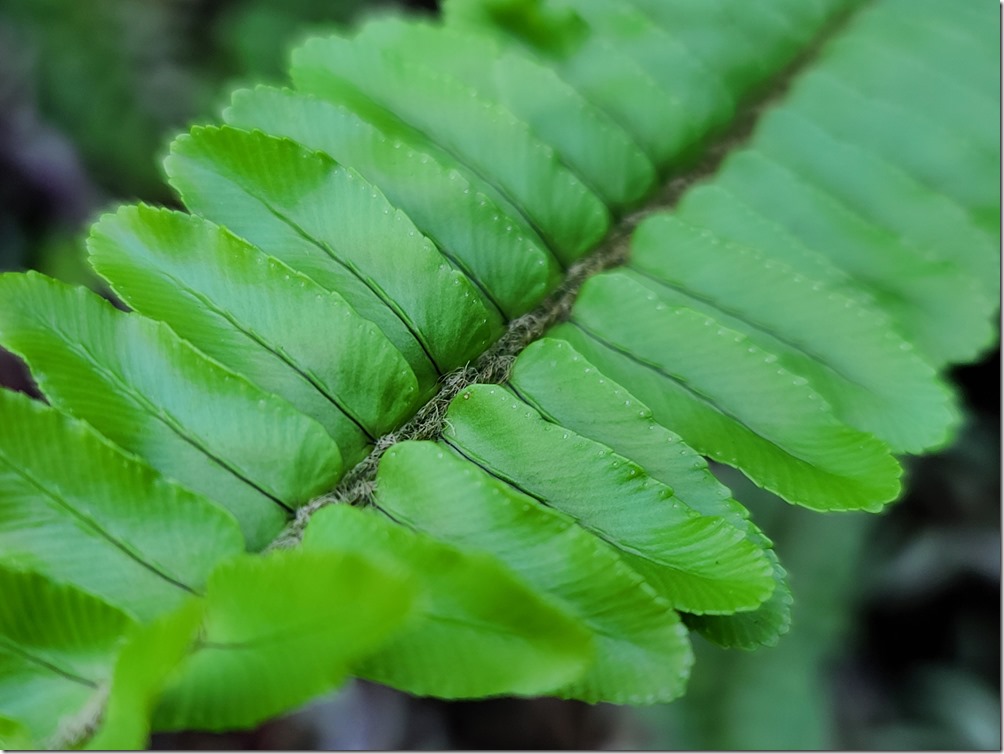 20200317_103013 20200317_103013