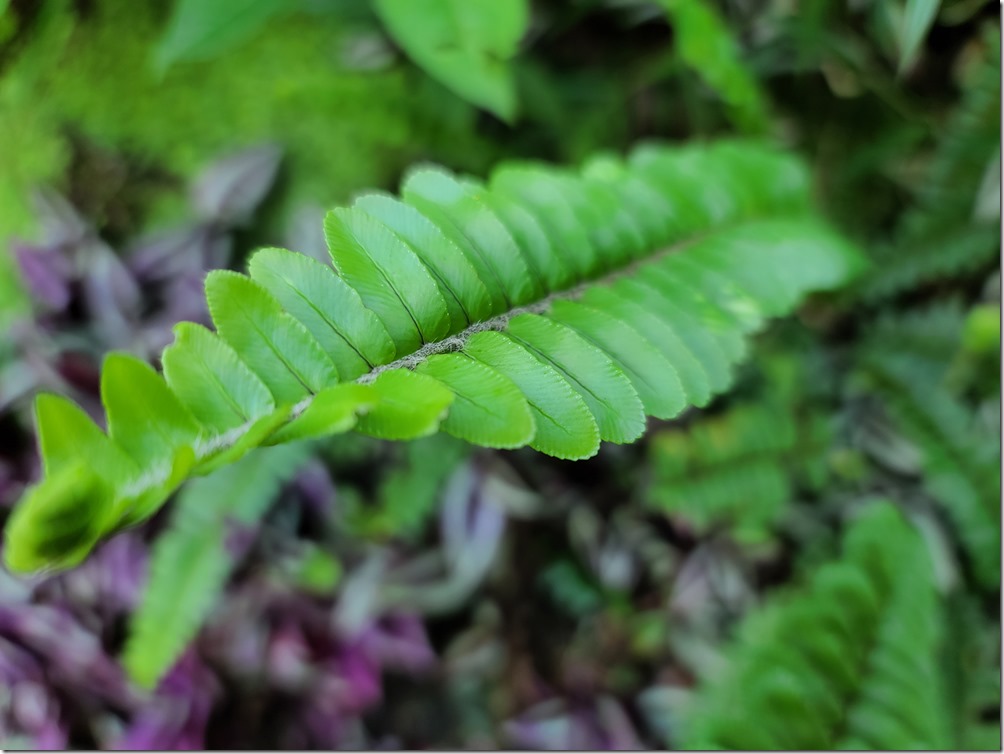 20200317_103024 20200317_103024