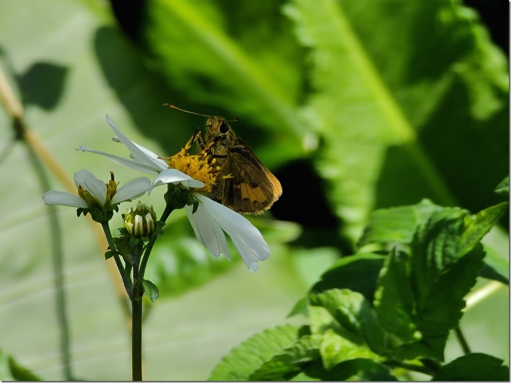 20200317_103317 20200317_103317