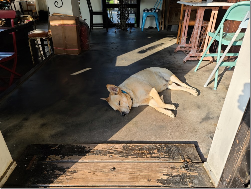 20200316_162135 20200316_162135