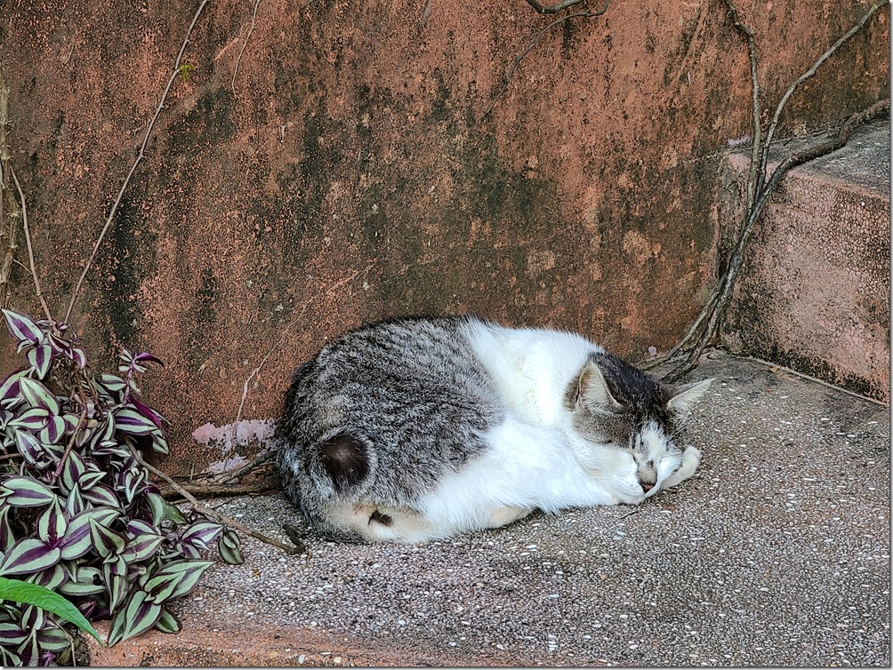 20200316_162307 20200316_162307