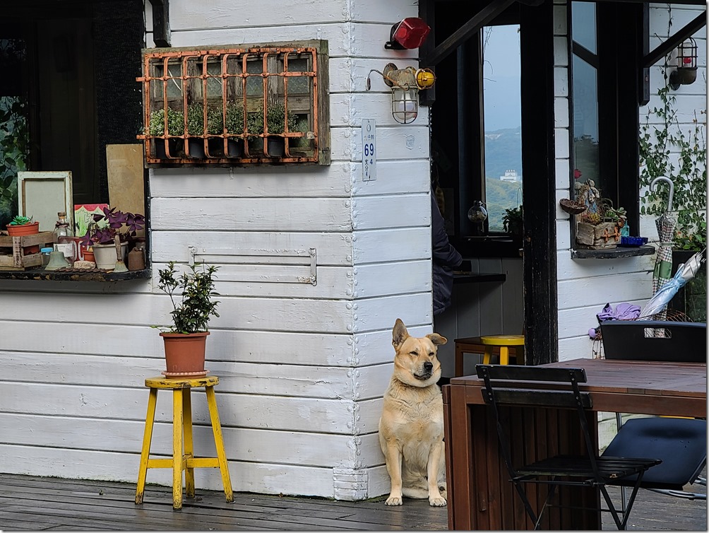 20200317_084724 20200317_084724