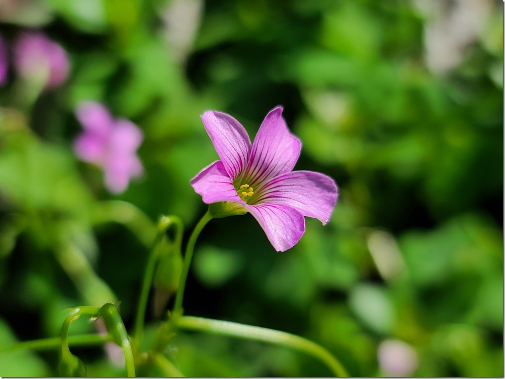 20200317_103052 20200317_103052