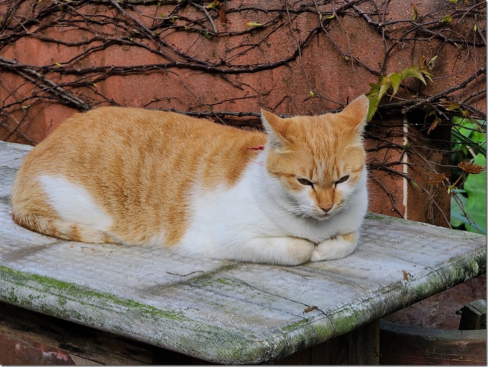 20200317_084246 20200317_084246