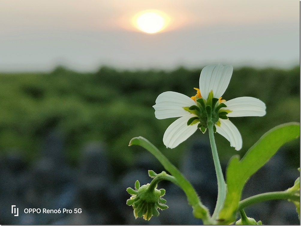 IMG20210808181340 IMG20210808181340