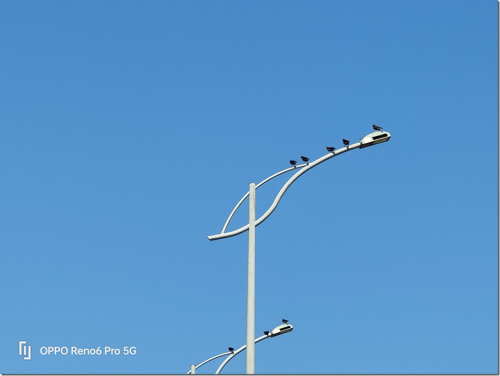 IMG20210808091627 IMG20210808091627