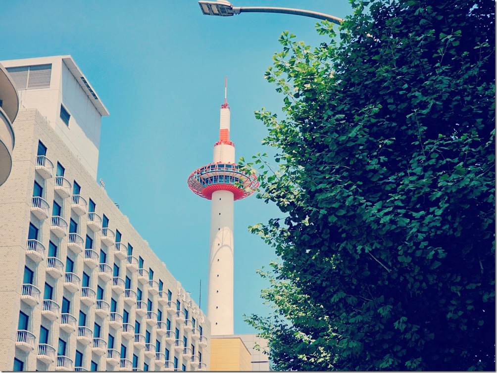 IMG_20230704_132729_358