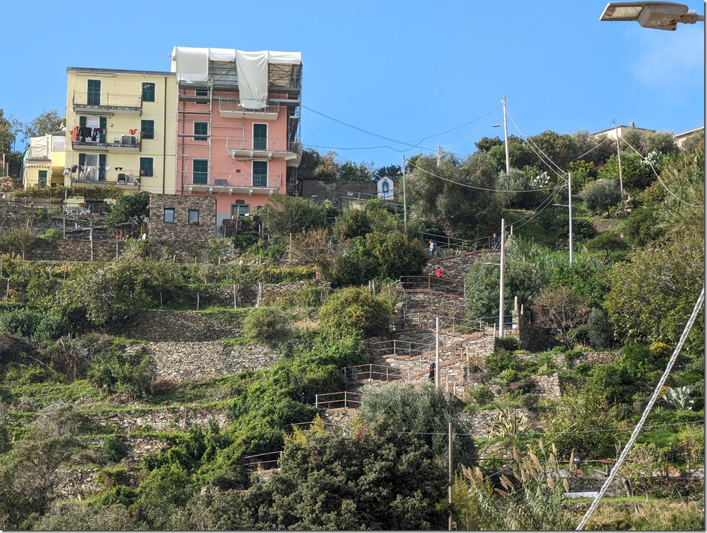 PXL_20231105_120130460 PXL_20231105_120130460