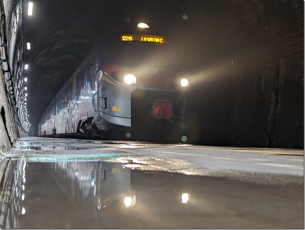 PXL_20231105_061218203 PXL_20231105_061218203