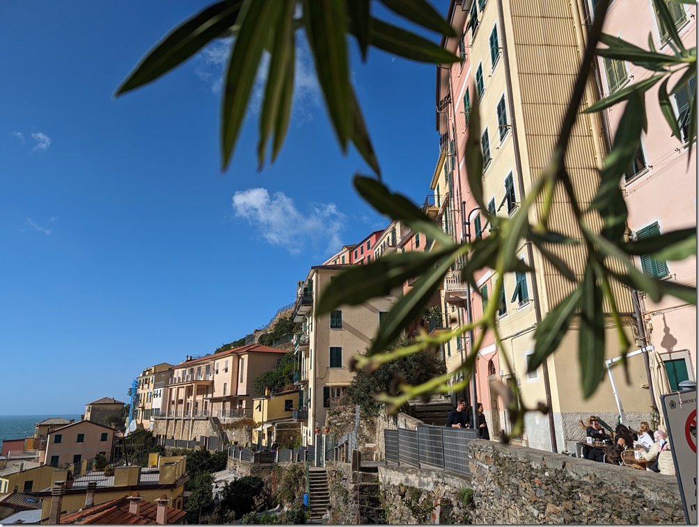 PXL_20231105_091731323 PXL_20231105_091731323