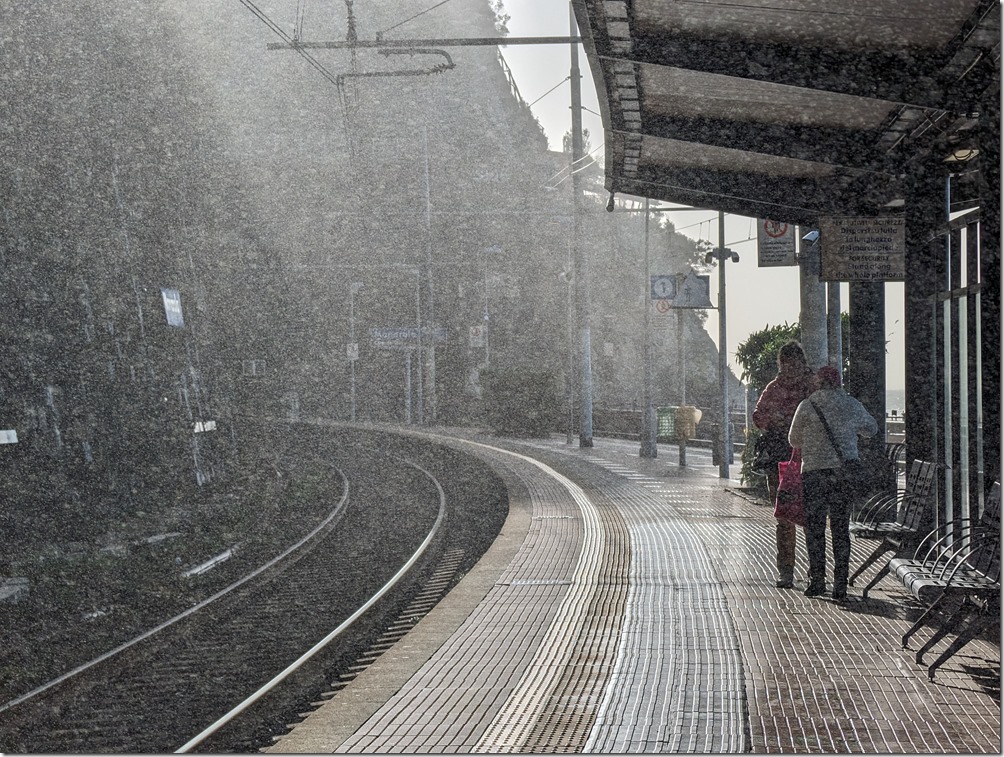 PXL_20231105_081842176 PXL_20231105_081842176