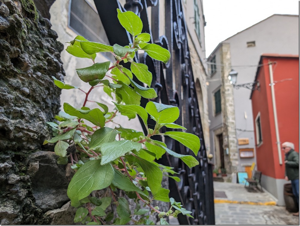 PXL_20231105_124151448 PXL_20231105_124151448