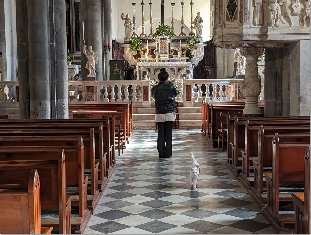 PXL_20231105_091517621 PXL_20231105_091517621