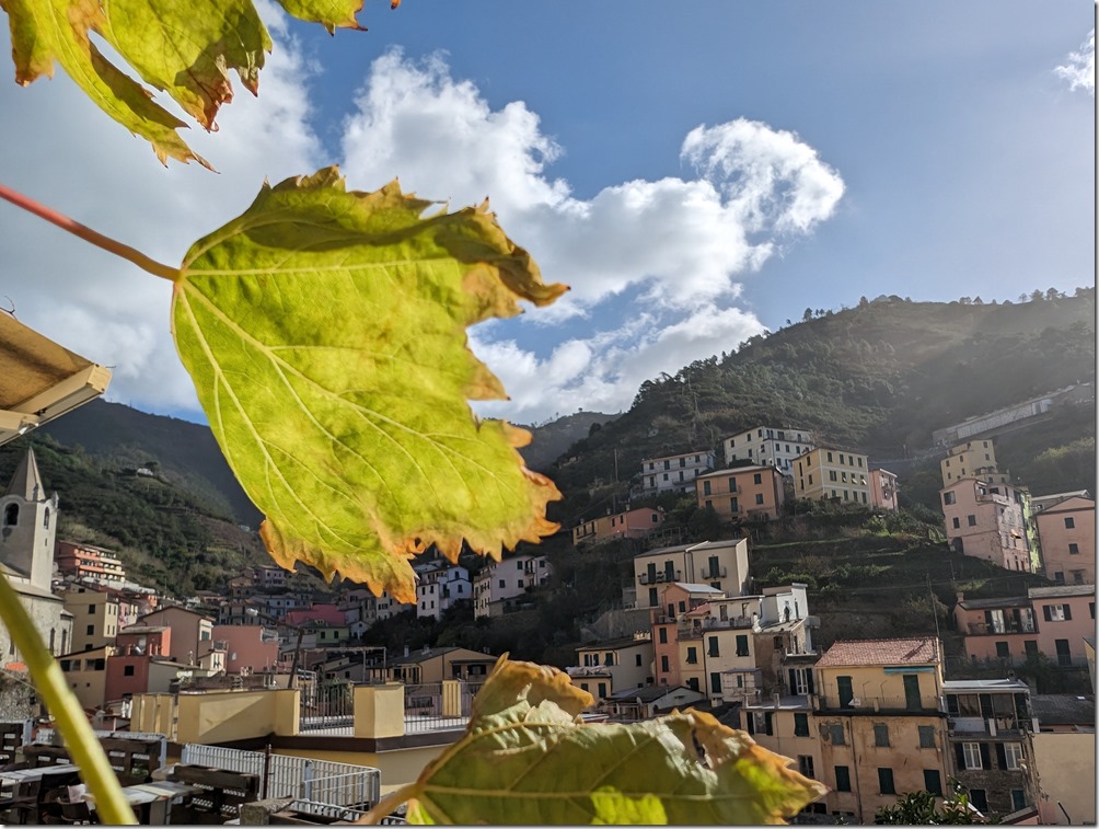 PXL_20231105_094759549 PXL_20231105_094759549