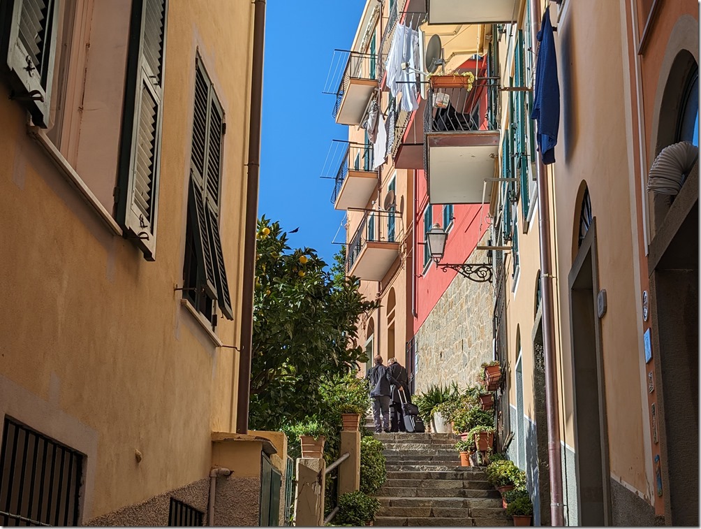 PXL_20231105_092124049 PXL_20231105_092124049