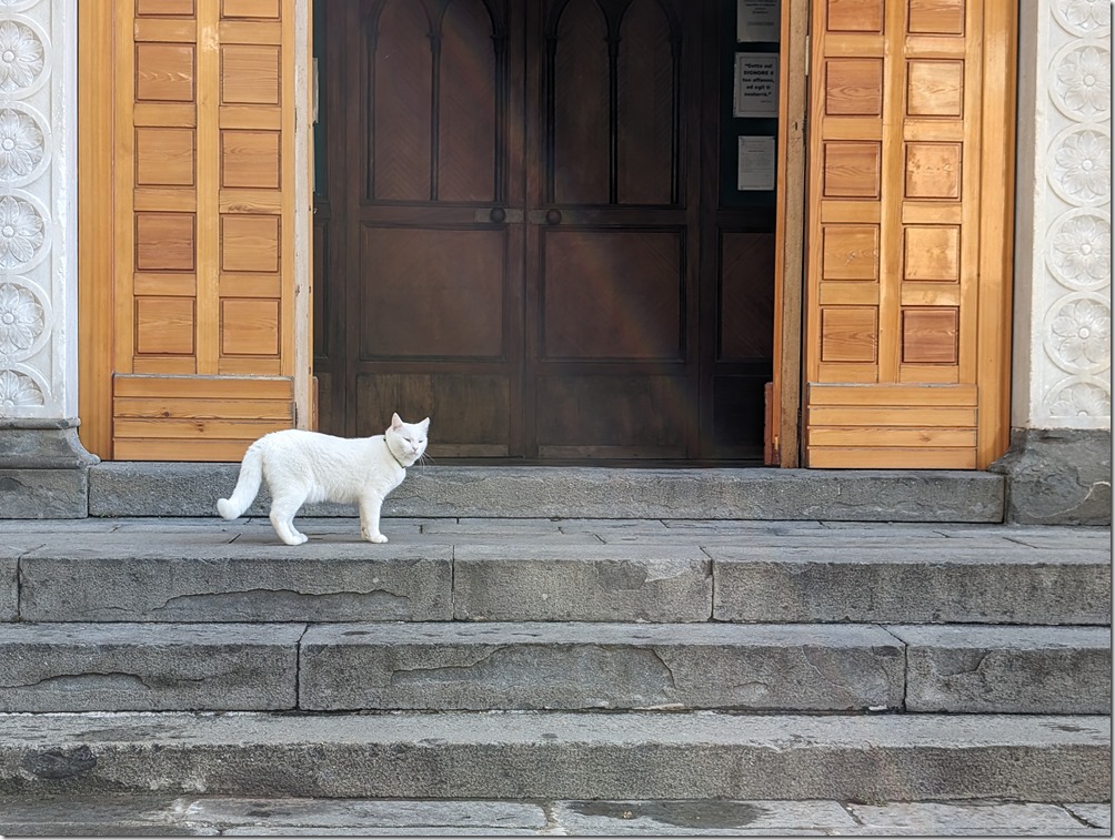 PXL_20231105_090850900 PXL_20231105_090850900