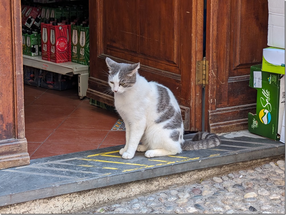 PXL_20231104_103935836 PXL_20231104_103935836